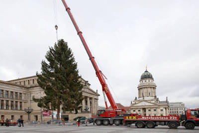 Wer bringt den Weihnachtsbaum am Gendarmenmarkt?